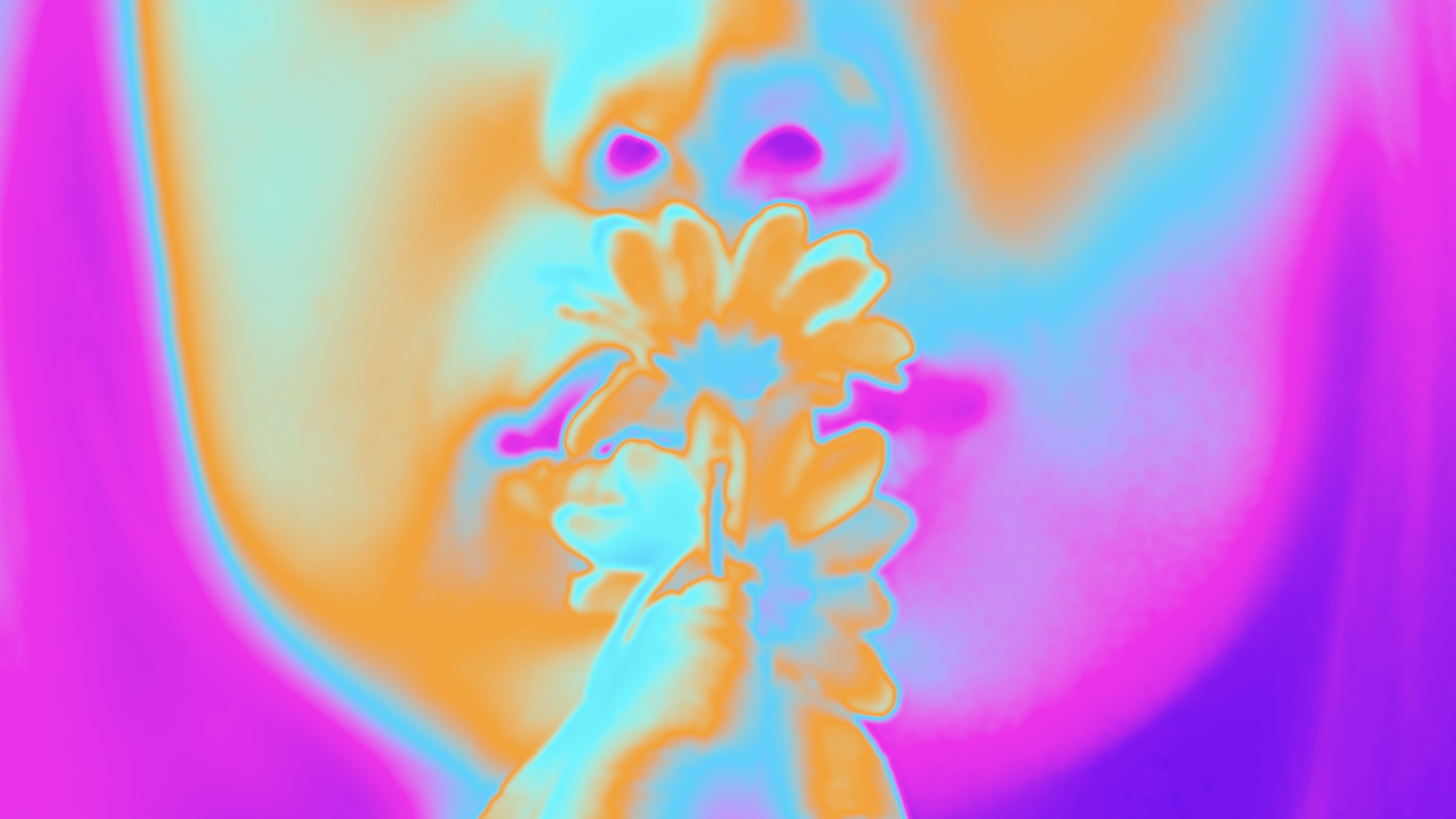 auracle 2